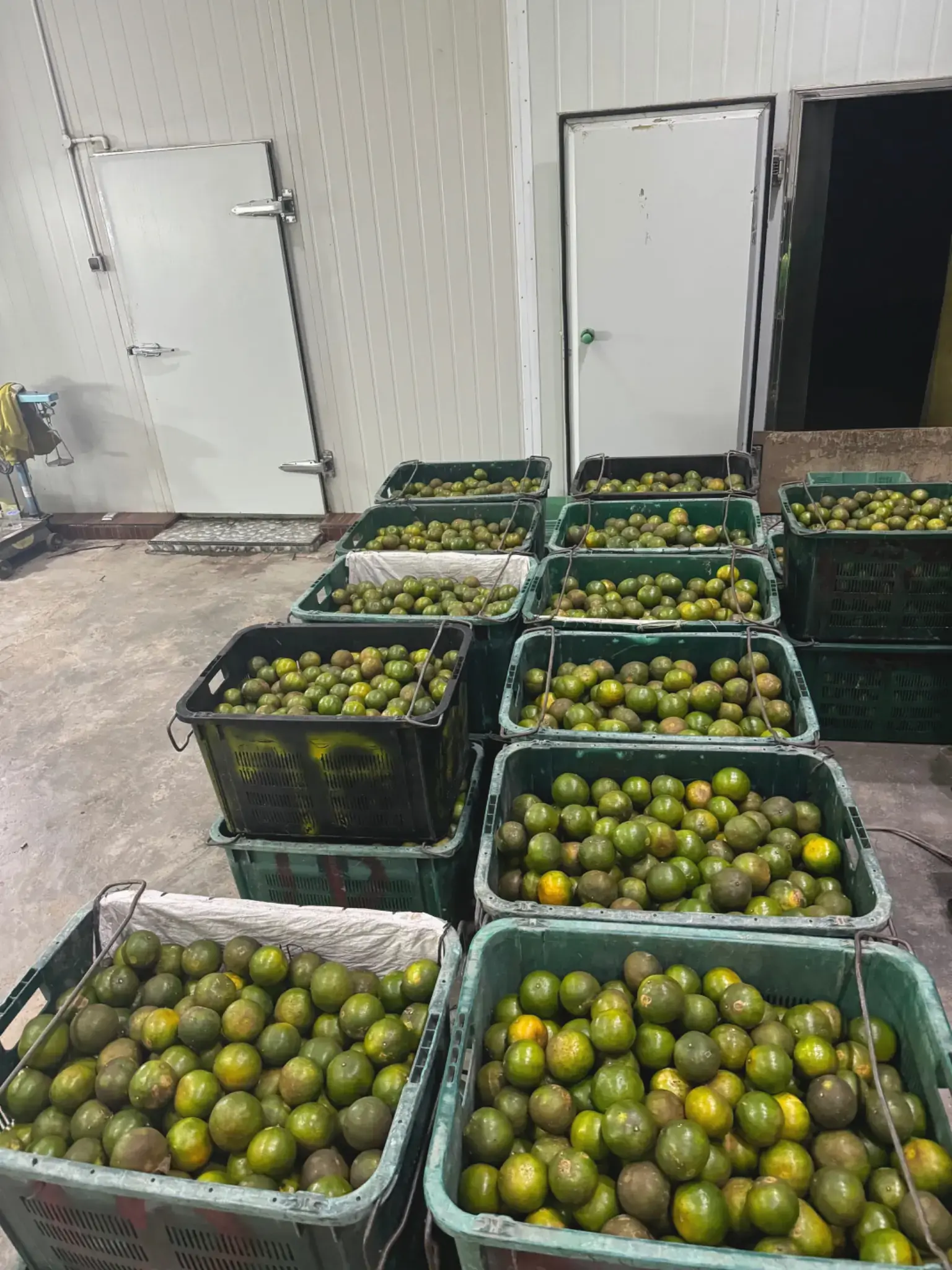 Batch siap diperiksa Jerpon HR